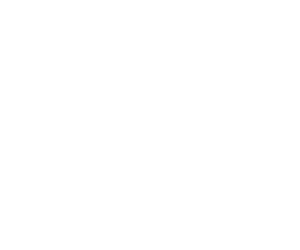 AFV Partners